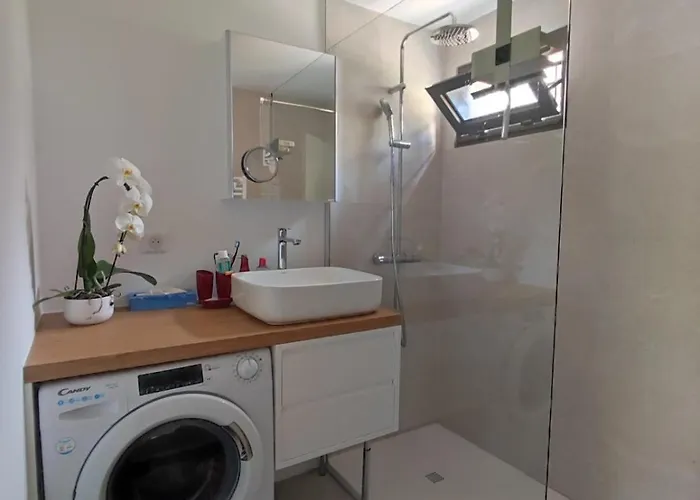 Le Palmier, Jardin Privatif, 200m, Classe 3 Etoiles, Climatise, Wifi, Garage, Renove